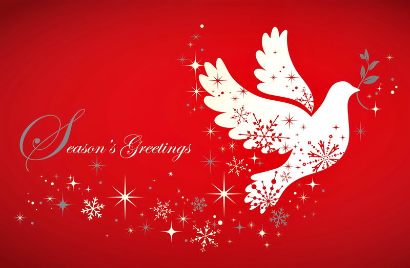 White Dove with Snowflakes