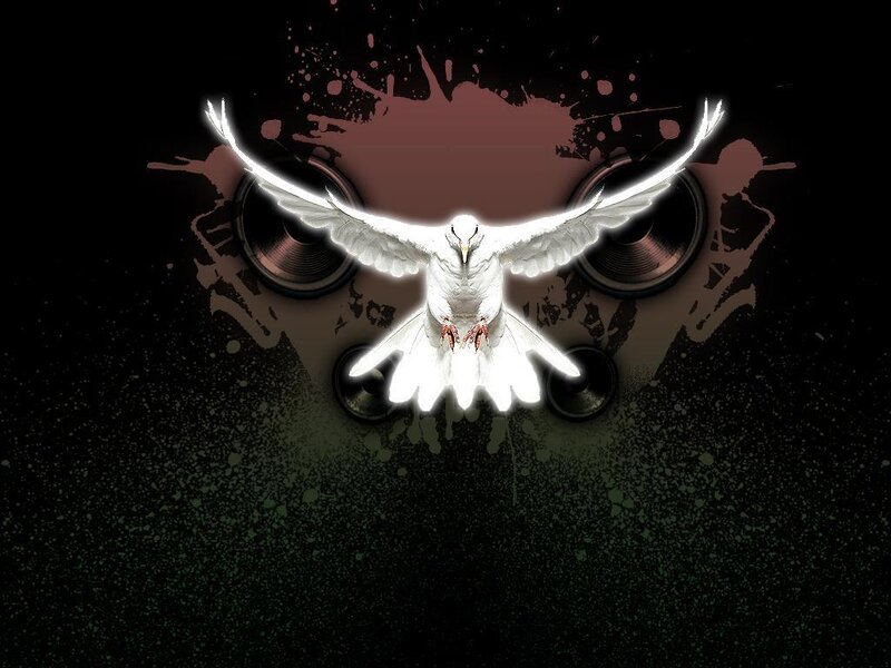white dove with speakers