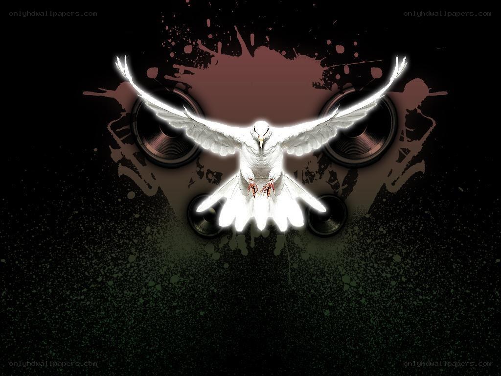 white dove with speakers