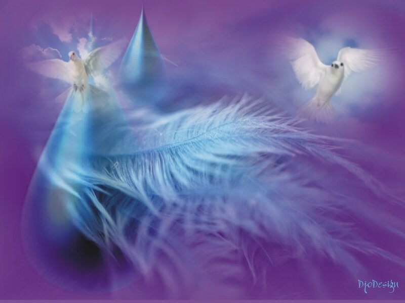 White doves and blue feather