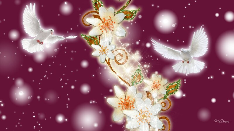 White Doves and Flowers