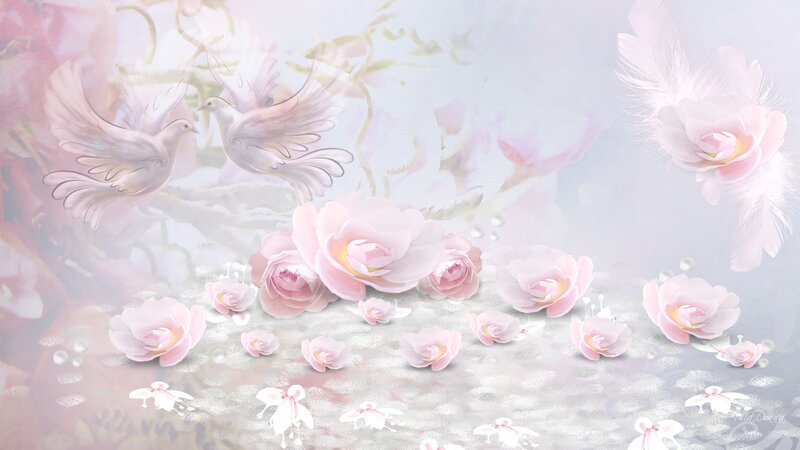 White Doves and Pink Roses