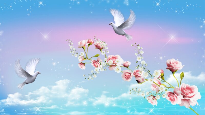 White Doves and Roses — Blue