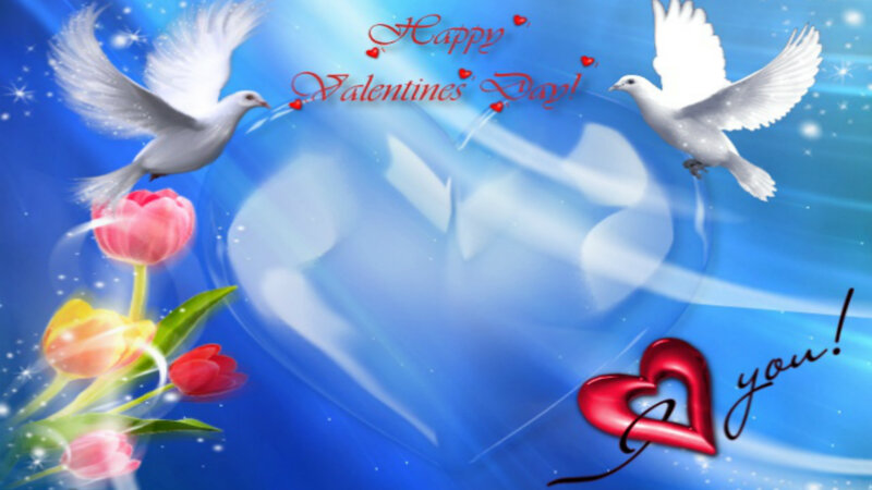 White Doves and Tulips