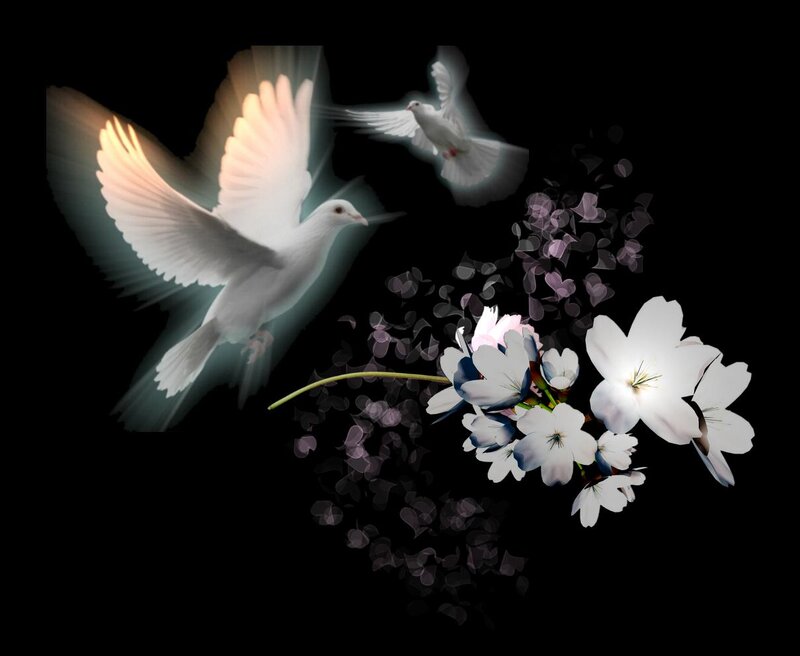 White Doves Flying — Black, Serene, Digital Art