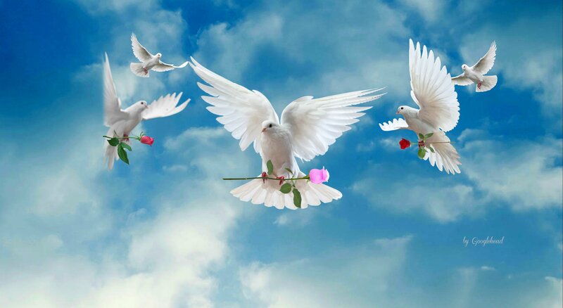 White Doves Flying — Blue, Serene, Afternoon, Digital Art