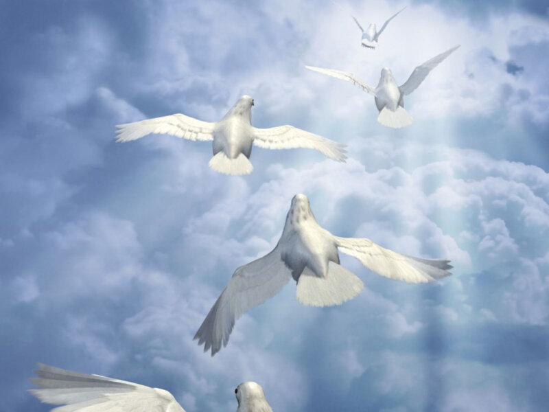 White Doves Flying — Blue, Serene, Digital Art, Clouds