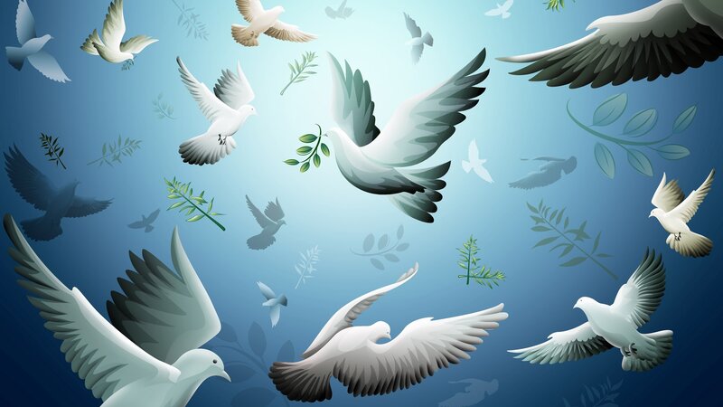 White Doves Flying — Blue, Serene, Digital Art, Olive Branches, Sky
