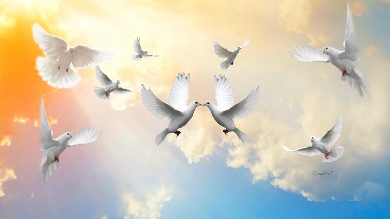 White Doves Flying — Blue, Serene, Sunset, Digital Art