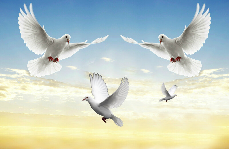 White Doves Flying — Blue, Serene, Sunset