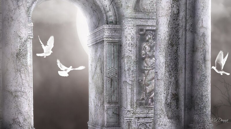 White Doves Flying — Gray
