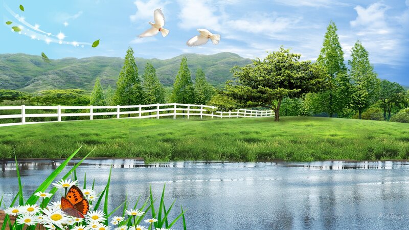 White Doves Flying over Pond
