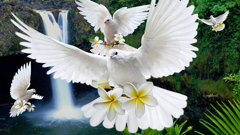 White Doves Flying — Serene, Digital Art, Flowers