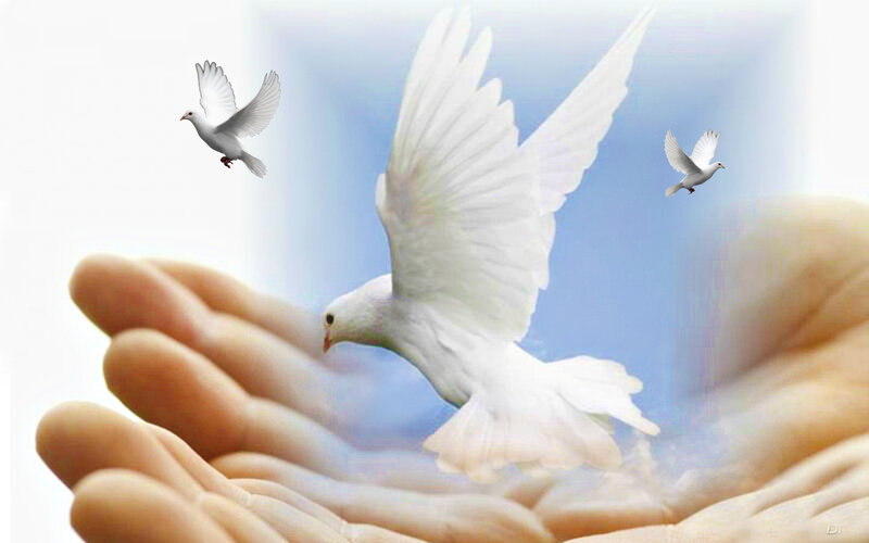 White Doves Flying — Serene, Digital Art