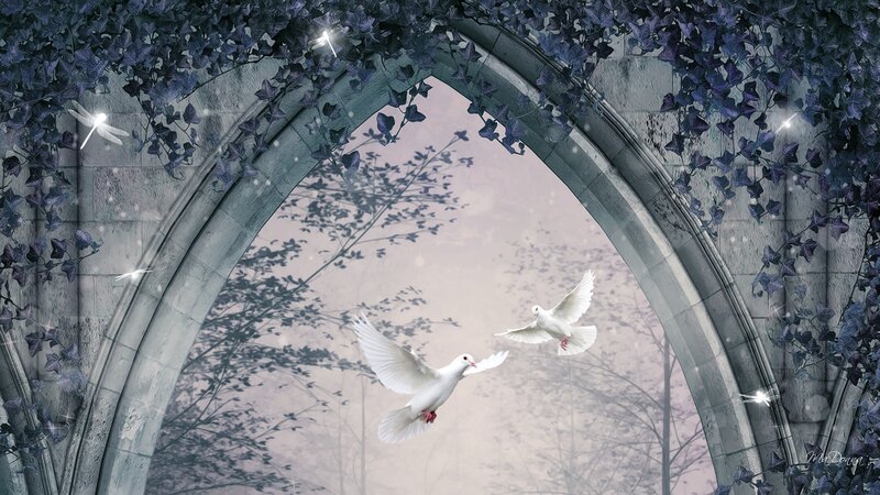 White Doves Flying — Serene