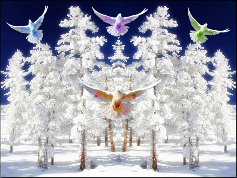 White Doves Flying — Serene, Winter