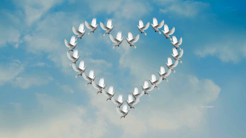 White Doves Forming Heart — Blue