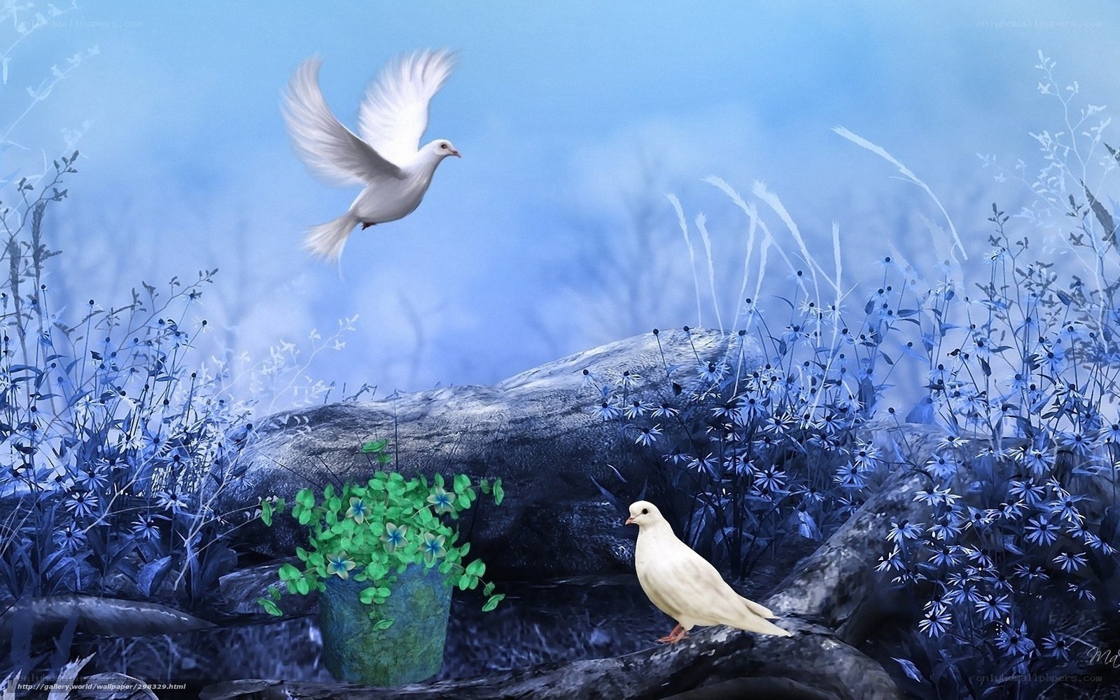White doves in a blue garden