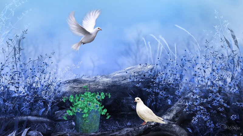 White Doves in Blue Garden