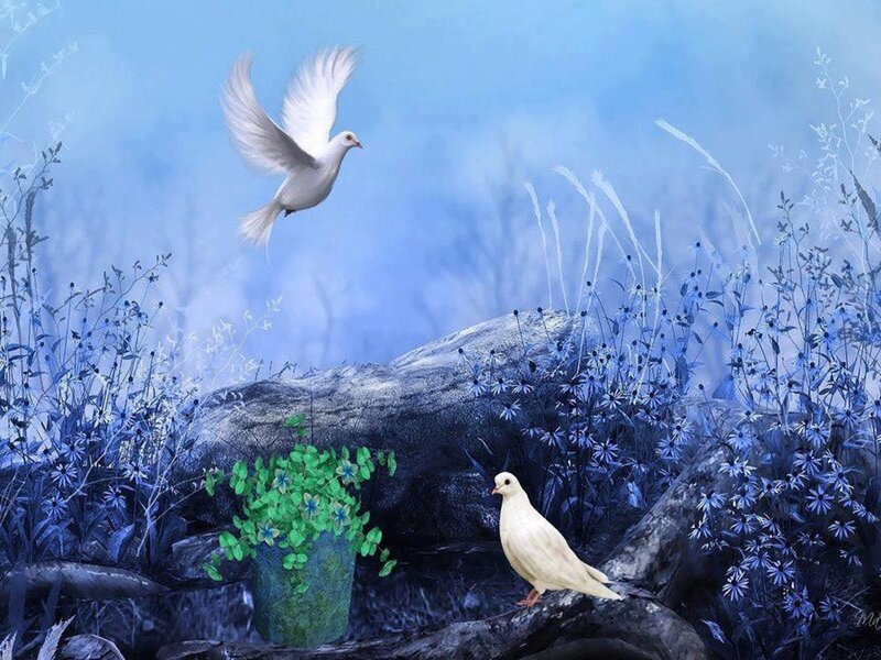 White Doves in Blue Landscape