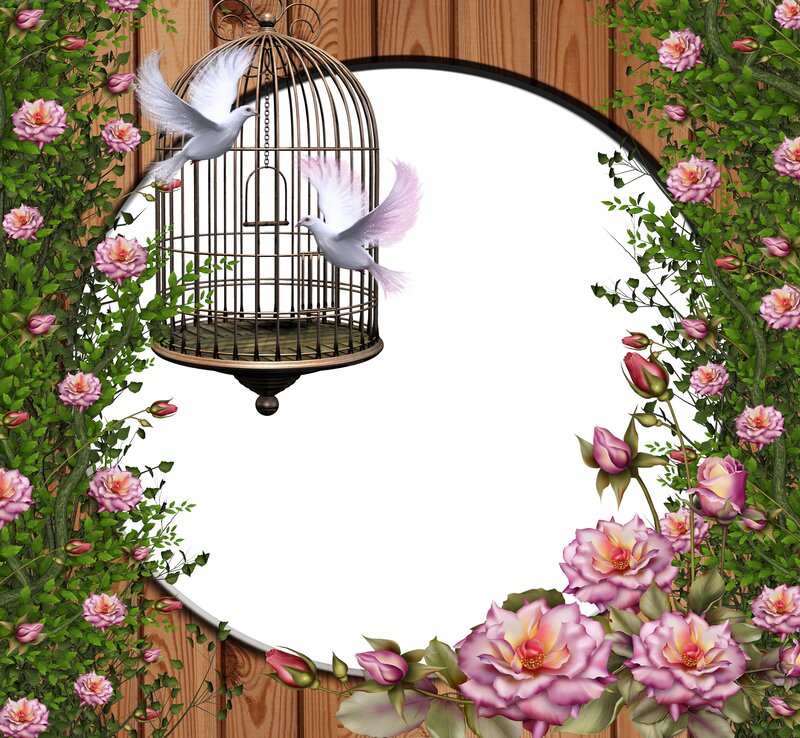 White Doves in Cage