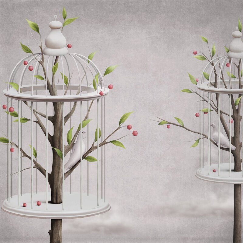 White Doves in Cages