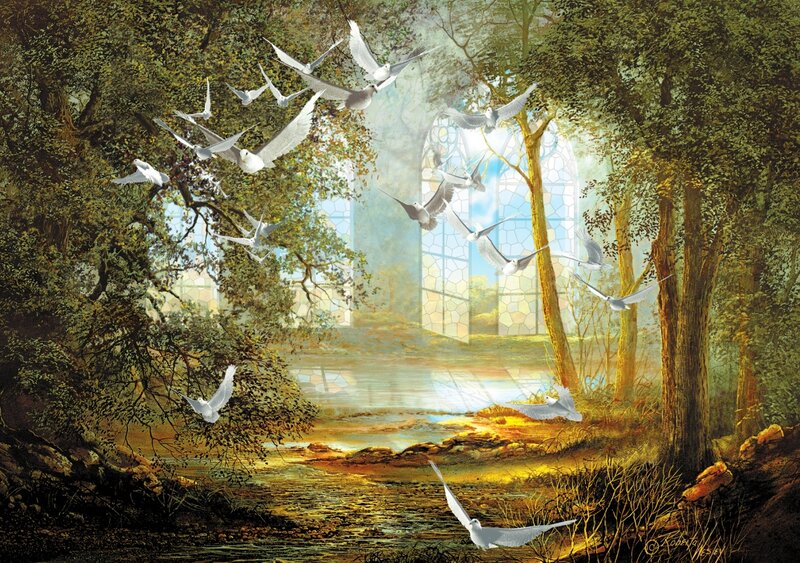 White Doves in Forest