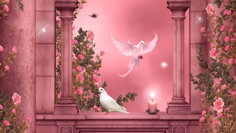 White Doves in Garden
