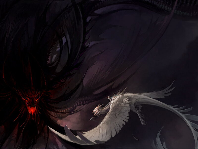 White Dragon Fighting Black Dragon