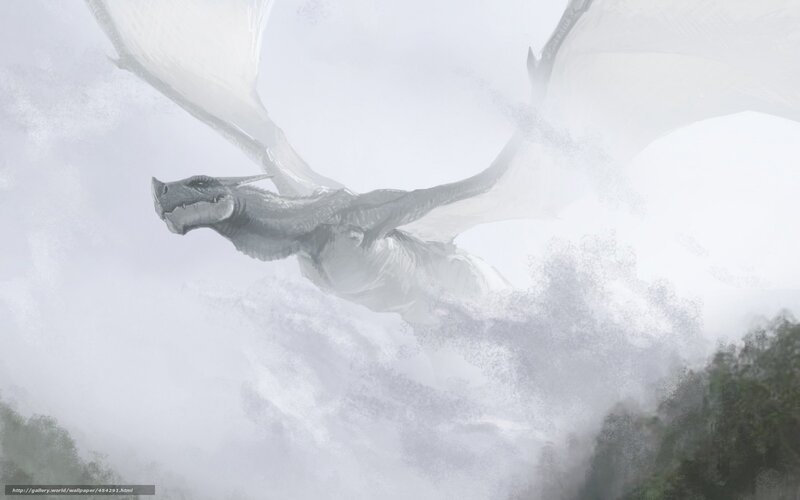 White Dragon Flying — Gray