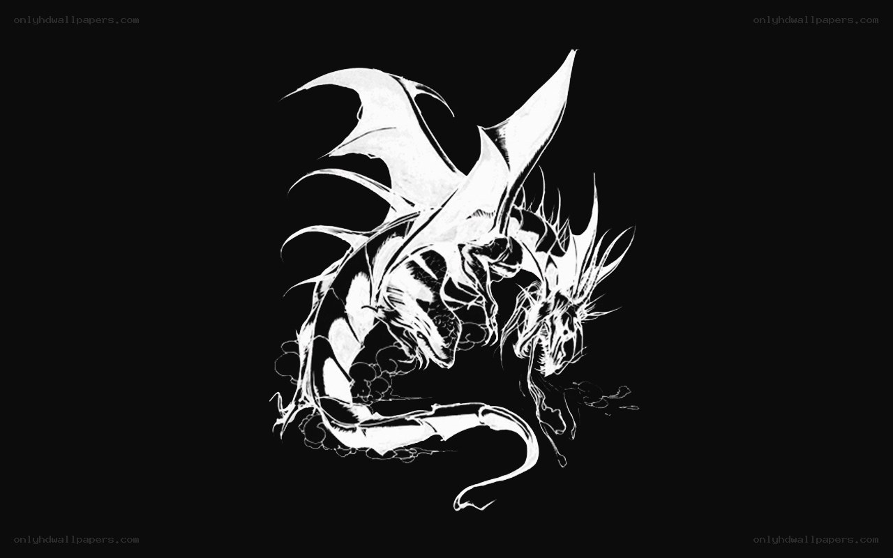 white dragon illustration