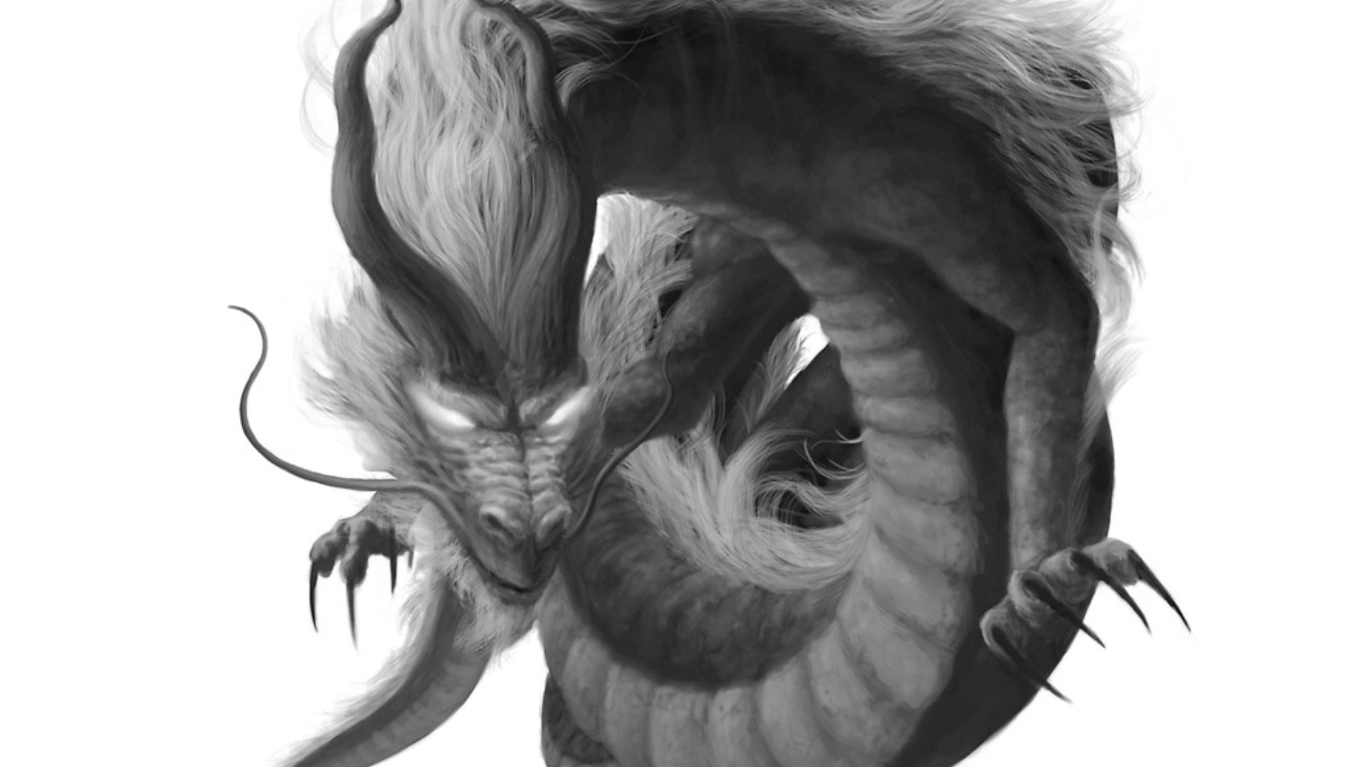 white dragon in black and white
