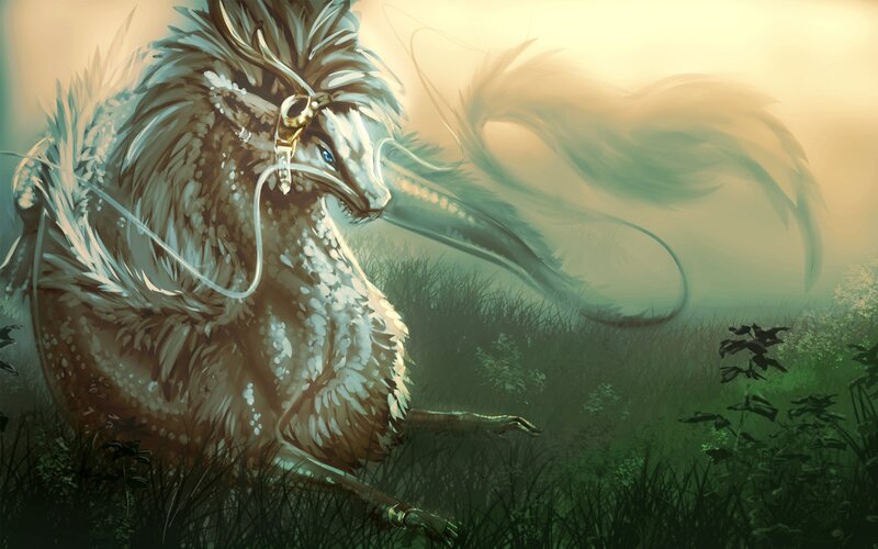 White Dragon in Grass