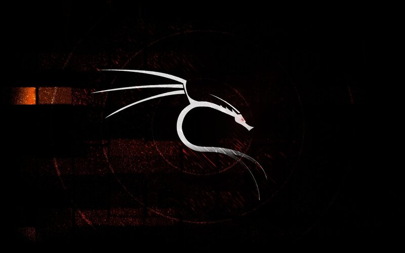 White Dragon Logo — Black, Dark, Dramatic