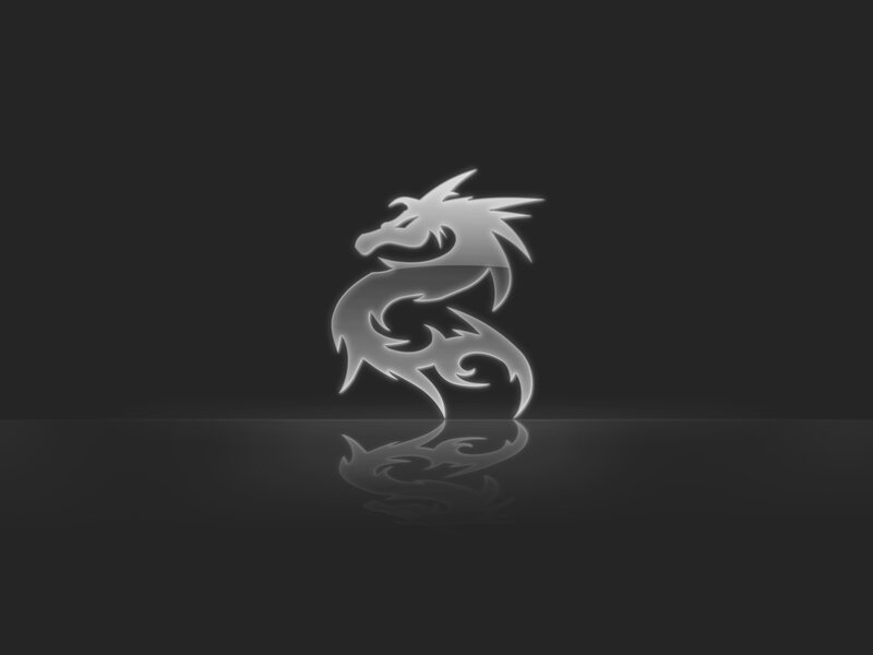 White Dragon Logo — Gray