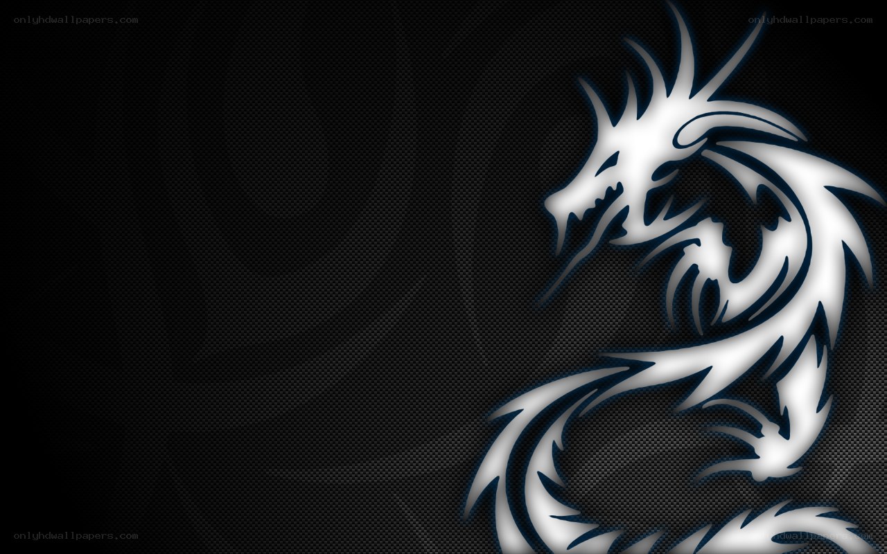 white dragon on black background