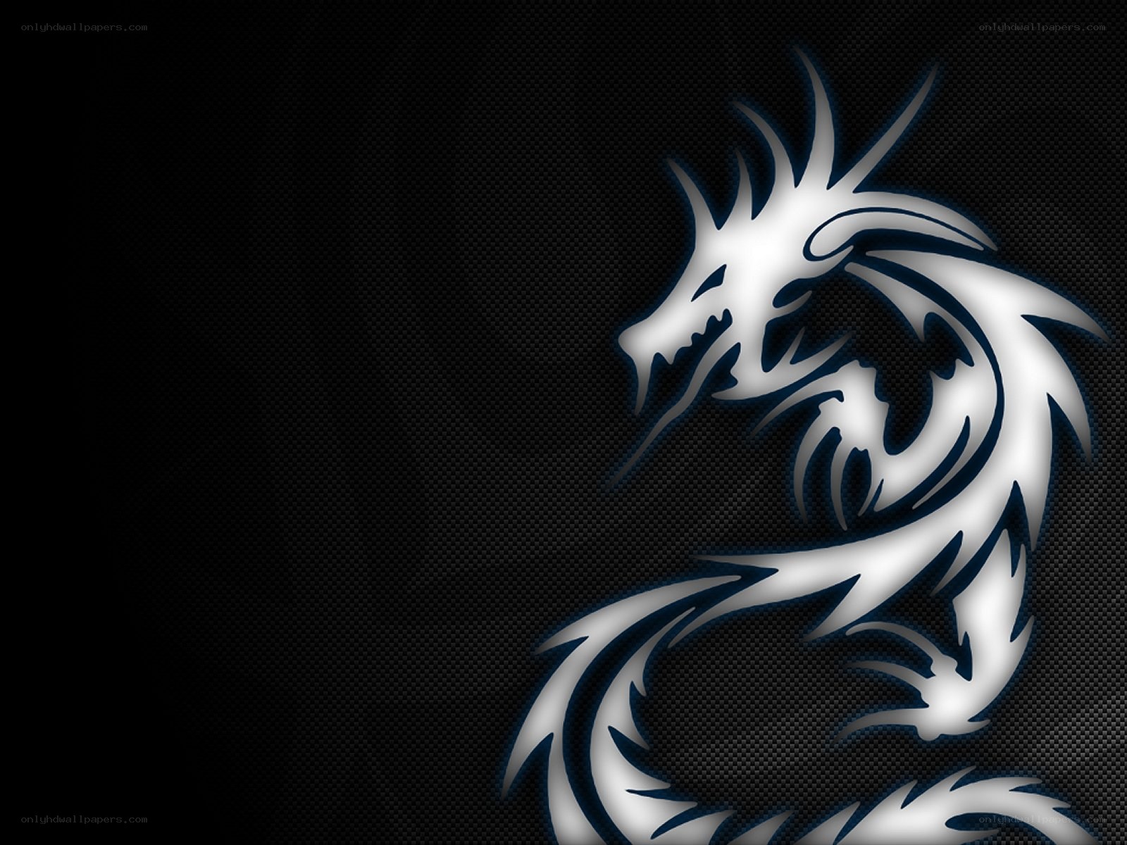 white dragon on black background