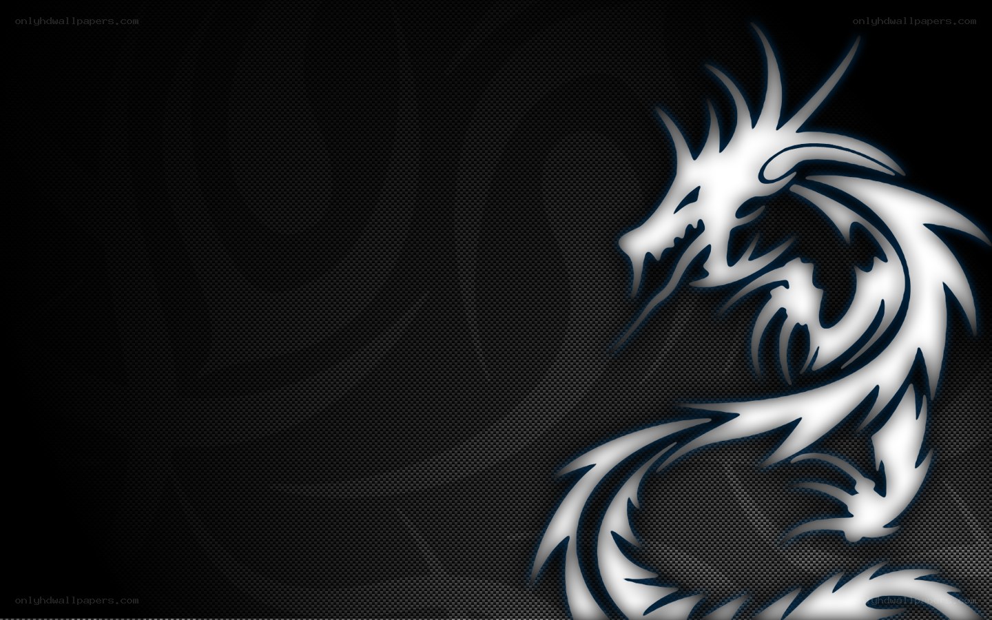 white dragon on black background
