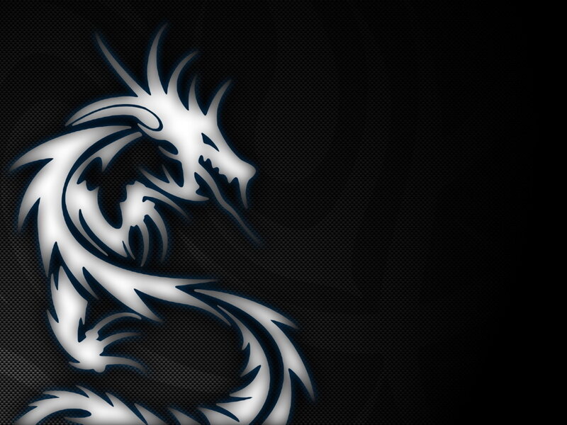 white dragon on black background