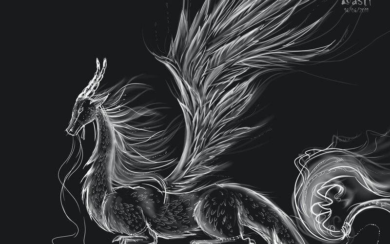 white dragon on black background