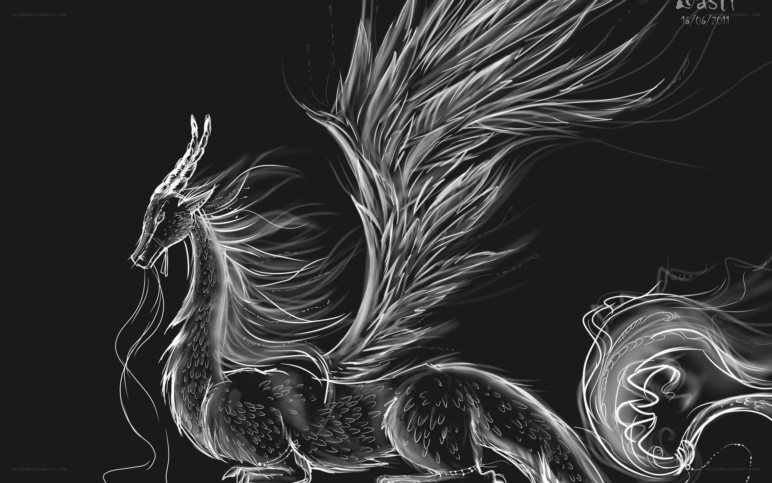 white dragon on black background