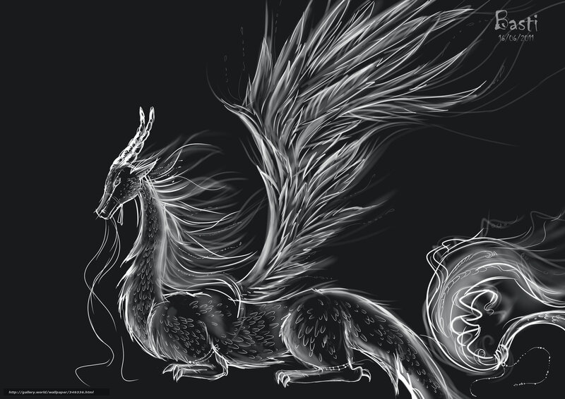 White dragon on black background