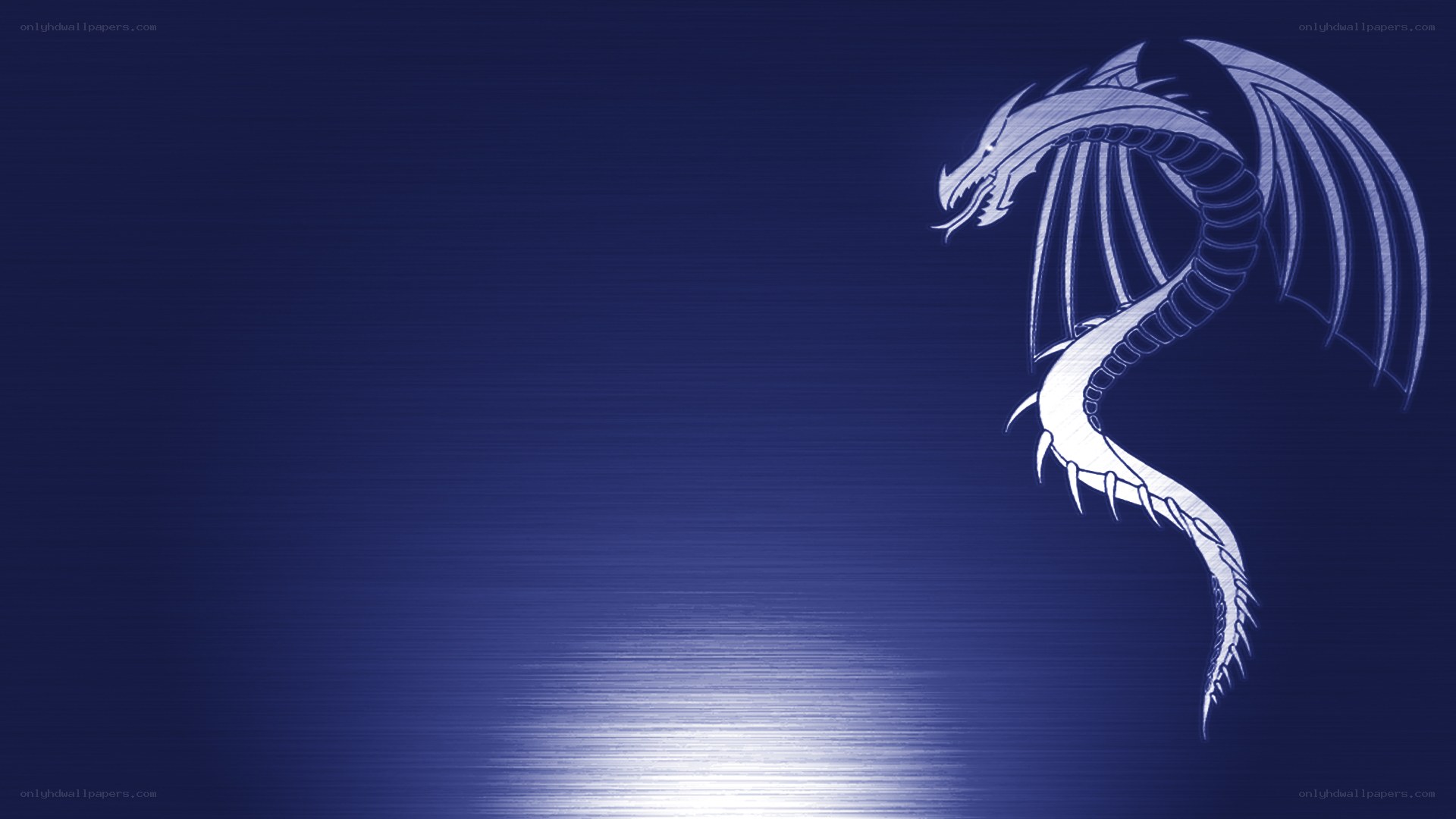white dragon on blue background