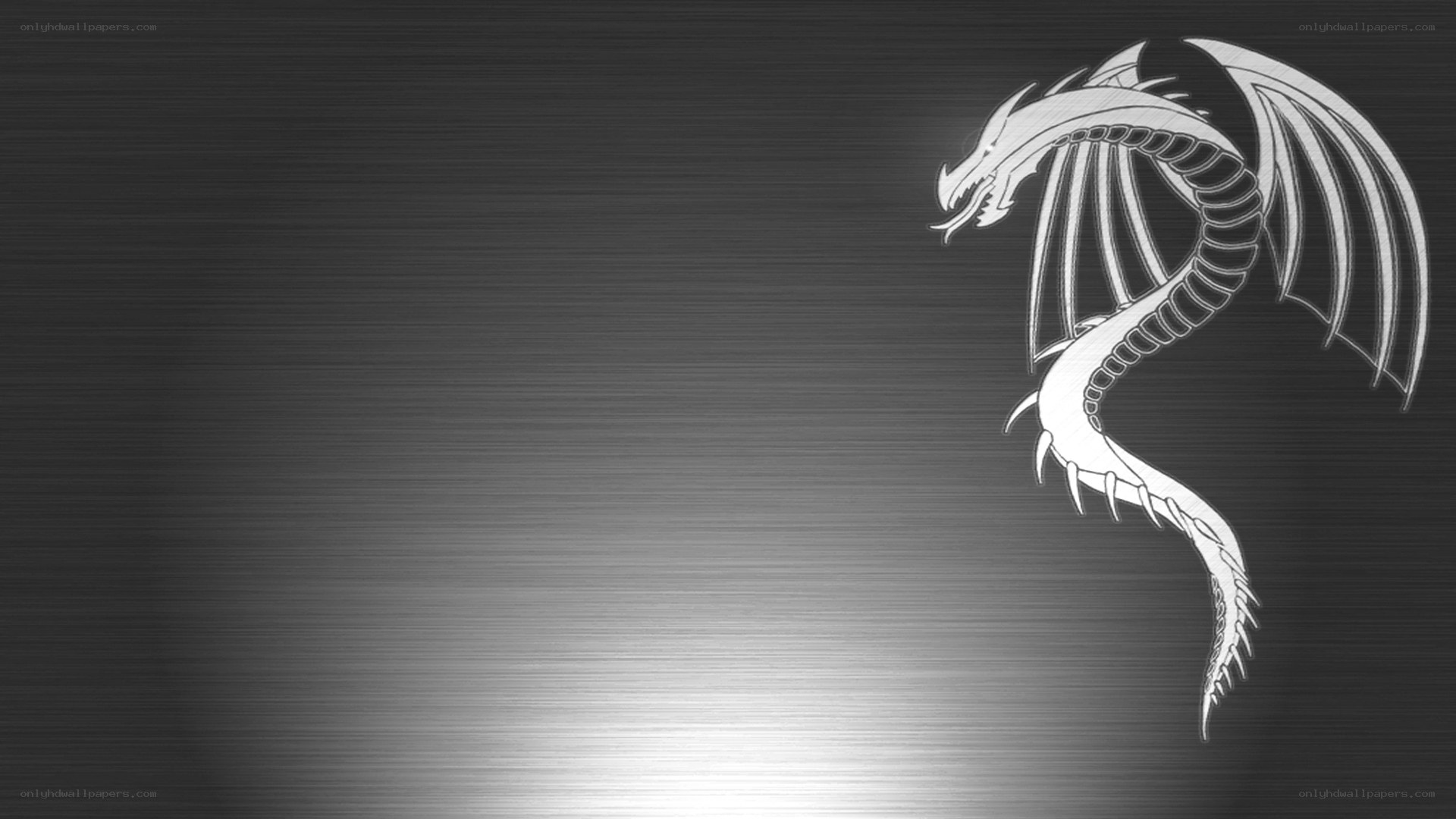 white dragon on metal background