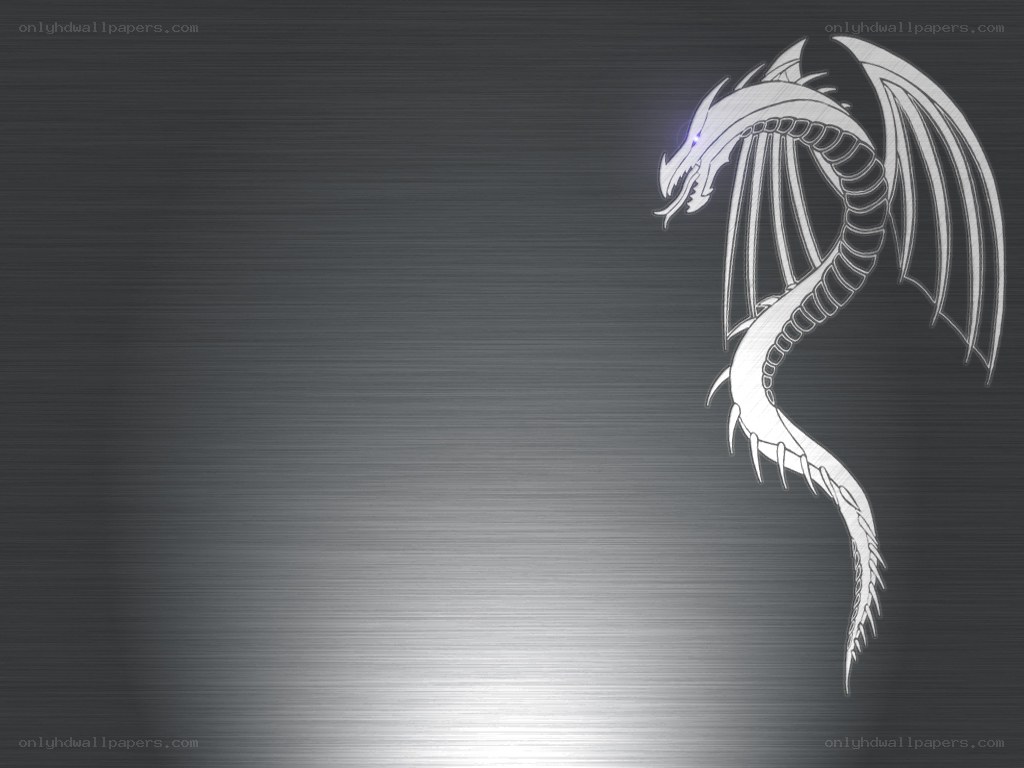 white dragon on metal background