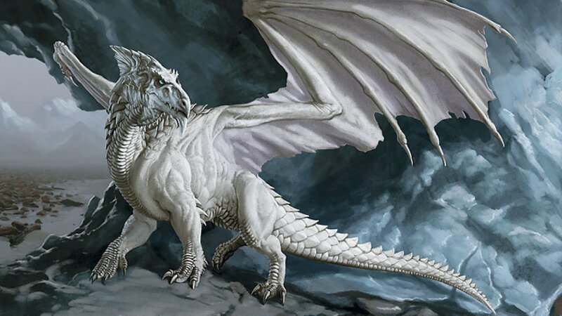 White Dragon on Rocks