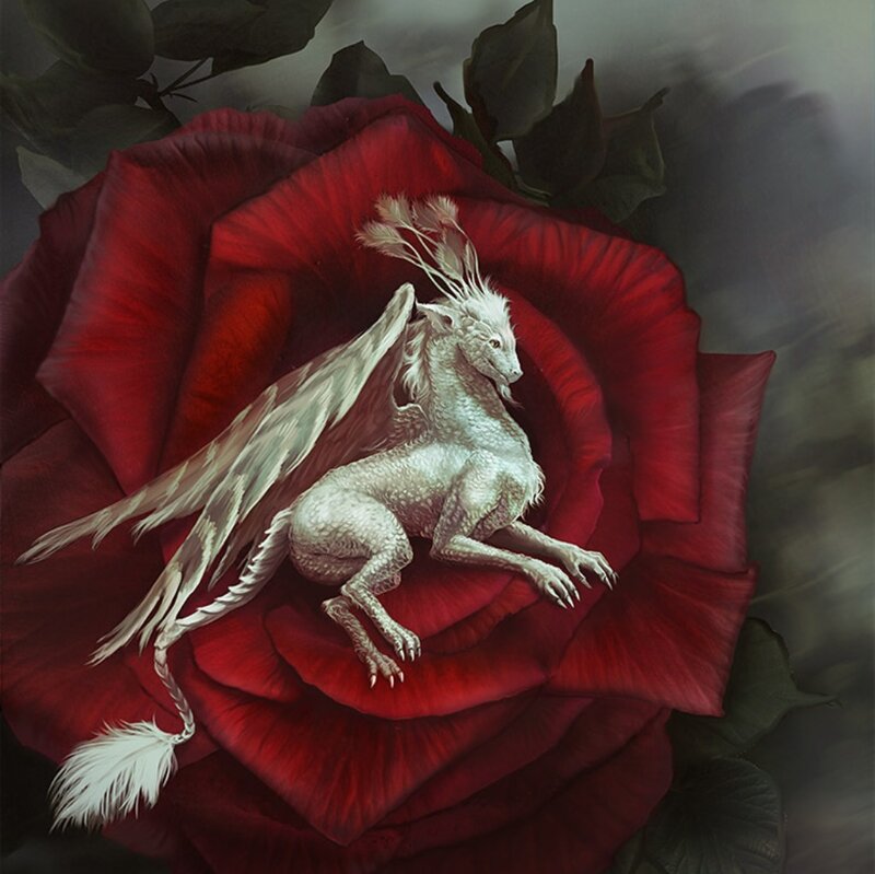 White Dragon on Rose