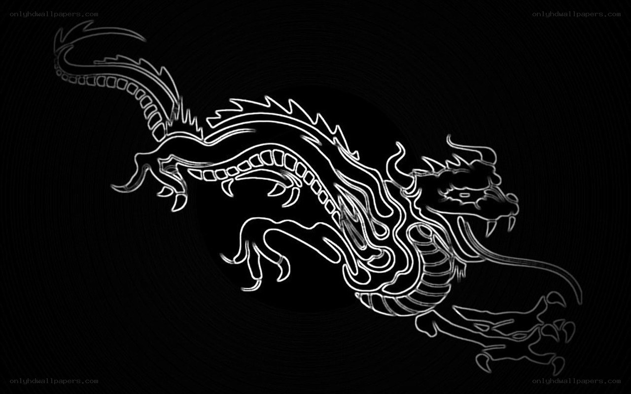 white dragon outline on black