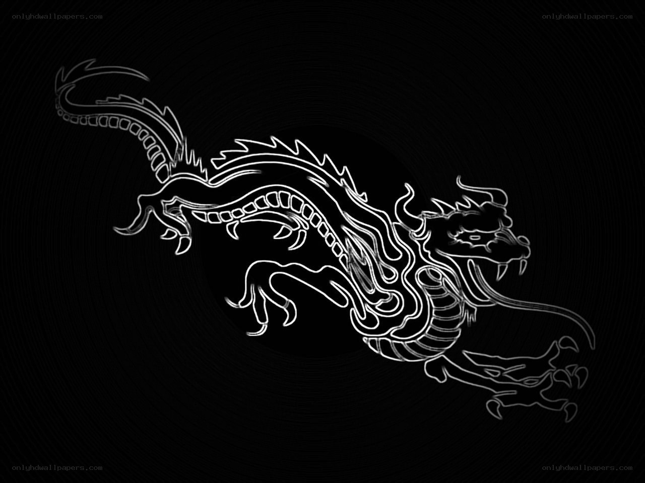 white dragon outline on black