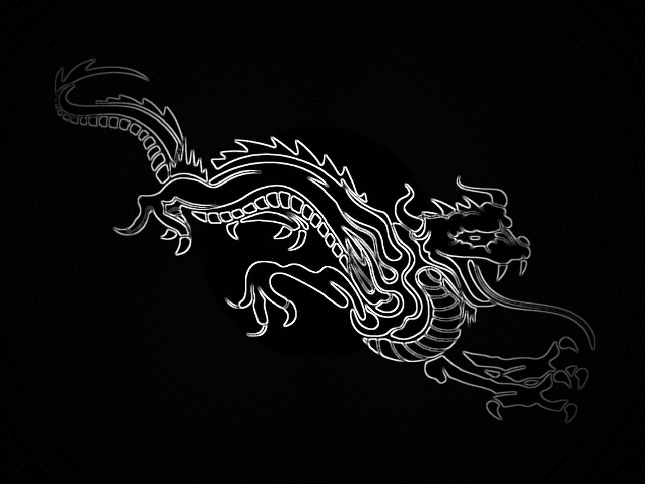 white dragon outline